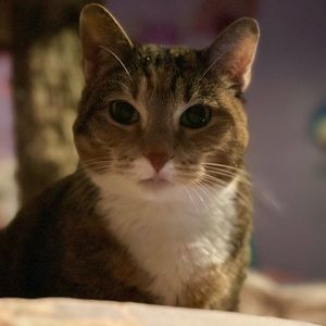 Meet your Posher, Samantha